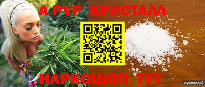 прущие грибы Гагарин