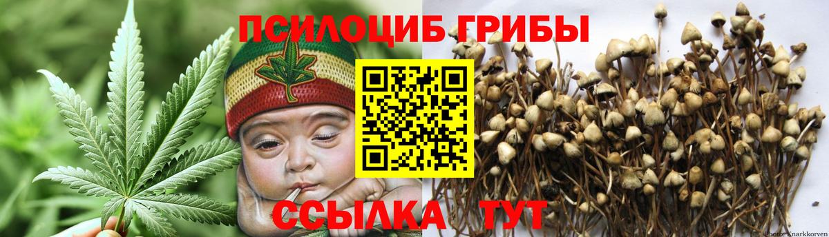 Нижневартовск  Псилоцибиновые грибы Cubensis  Вход с VPN 